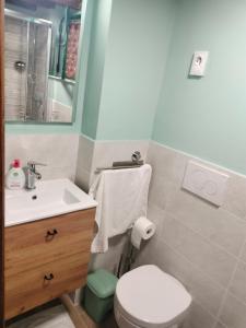 a bathroom with a white toilet and a sink at Le Giunchete in Cavriglia