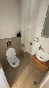 a bathroom with a toilet and a sink at Amerissas studios 4 in Skiros
