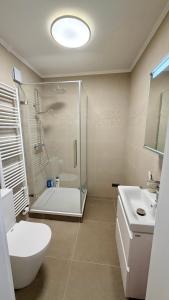 a bathroom with a shower and a toilet and a sink at Apartment Hannover - Langenhagen center in Hannover +46 photos