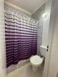 a bathroom with a toilet and a purple shower curtain at Aguara Falls in Puerto Iguazú