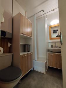 a bathroom with a toilet and a sink at L'Esprit Boisé in Ustou