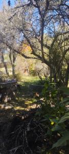 a park with trees and a bench in the grass at Chalet del Rio in Cuesta Blanca