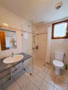 a bathroom with a toilet and a sink and a shower at Hôtel Restaurant Au Pont de Raffiny in Saint-Romain +21 photos