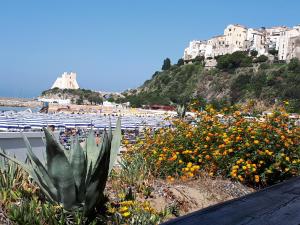 a garden with flowers and buildings on a hill at Villetta Lucia in Sperlonga
