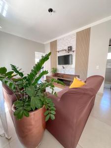 a living room with a brown couch and a plant at Casa Doce Lar 2 in Uberaba
