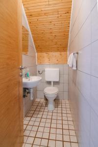 a bathroom with a toilet and a sink at Apartment Smoljanac 14979a in Smoljanac +27 photos
