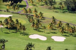 an overhead view of a golf course with palm trees at O baobab in Saint-François