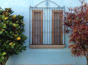 Hostel Iguana Azul tesisinin dışında bir bahçe
