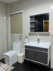 a bathroom with a sink and a toilet and a mirror at Villa Char in Accra +5 photos