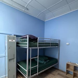 two bunk beds in a room with a blue wall at Alice Lodge in Alice Springs +52 photos
