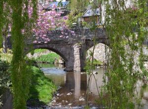 a stone bridge over a river with pink flowers at St Louan's in Alyth