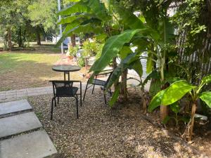 a table and two chairs sitting next to a tree at Mimis Cottage in Cohuna