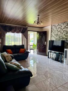 a living room with a couch and a flat screen tv at Arboleda House by the River, Forest with Jacuzzi and A C in San Francisco