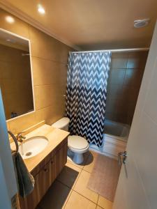 a bathroom with a sink and a toilet and a shower at Hermoso y cómodo departamento en edificio in Calama +10 photos