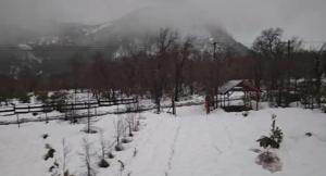 a snow covered field with a house and trees at Cabaña Laguna Huemul in Pinto