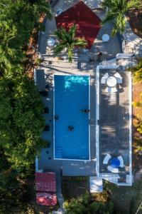 an overhead view of a swimming pool with palm trees at Las cabañas in Jacó +8 photos