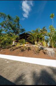 an empty road with palm trees and a building at Las cabañas in Jacó