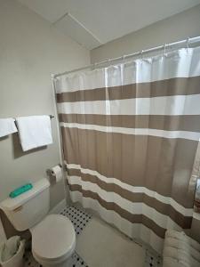 a bathroom with a toilet and a shower curtain at Robinsdale on broadway in Minneapolis