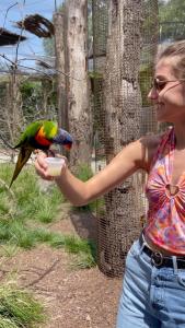 a woman feeding a parrot from a bowl of food at Suite Cotinga, balneo, bien-être, Parc des Oiseaux in Villars-les-Dombes