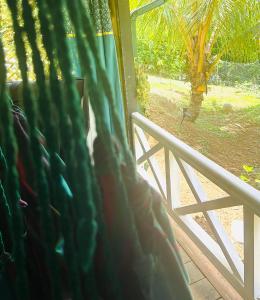 a view of a window with a fence and a tree at Escale verdoyante in Petit-Bourg