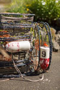 Fotografie z fotogalerie ubytování Harborview Inn & RV Park v destinaci Garibaldi