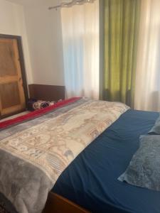 a bedroom with a bed and a window with curtains at Bittu Homestay in Kaza
