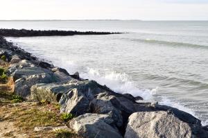 a group of rocks on the shore of a body of water at Fleur de Ré in Loix