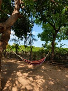 a hammock hanging from a tree in a field at Avora Auroville in Auroville