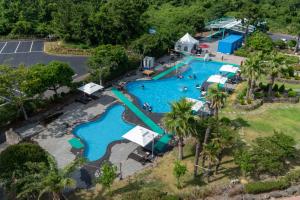 an overhead view of a pool at a resort at Hallim Resort in Jeju