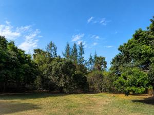 a field with trees and a blue sky at Avora Auroville in Auroville