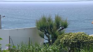 a fence with a tree in front of the ocean at Santa Cruz Ocean Apartment - II in Santa Cruz