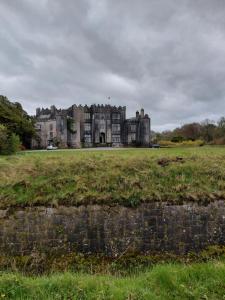 an old castle sitting on top of a field at Turnpike Mews in Birr
