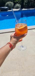 a hand holding a drink in a glass next to a pool at Apartment with private pool in Njivice