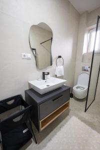 a bathroom with a sink and a mirror and a toilet at Modern Studio Apartment in Žepče +8 photos