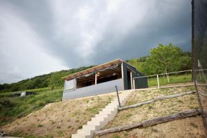 a house on top of a hill with stairs at Ivan in Kalnik