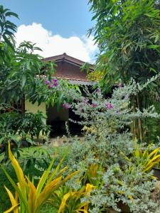 a garden in front of a house with flowers at KADUPUL Hiriketiya in Hiriketiya