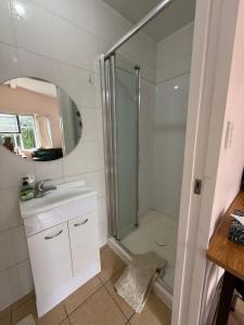 a bathroom with a shower and a sink and a mirror at Lilys guest house in Auckland