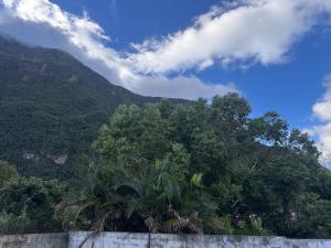 a view of a mountain with trees and a wall at Villa Tchama in Salazie +3 photos