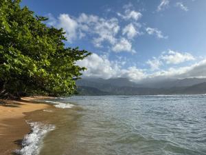 a beach with trees on the shore of a body of water at NEW Sunset Hideaway with Beach Access Pools & AC in Princeville