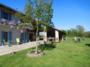 a tree in the yard of a house at Agriturismo La Tilia in Lequio Tanaro