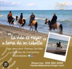 a group of people riding horses on the beach at Mediterranean Caribbean View Village in Buena Vista