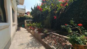 a garden with potted plants and flowers next to a building at Boudha Breeze Suites 3bhk in Kathmandu