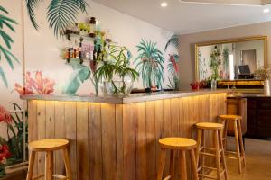 a bar with four stools at a counter with plants at Somptua Garden Boutique Hôtel in Ivato