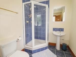 a bathroom with a shower and a toilet and a sink at Charlecote House in Saundersfoot +28 photos