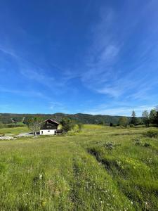 a field of grass with a house in the distance at Chalet Les Balcons du Risoux in Bellefontaine