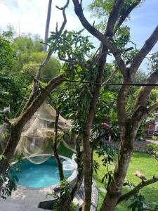 a view of a swimming pool through trees at AmoreBay in Mirissa