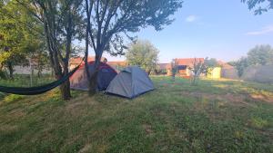 two tents sitting in a field next to trees at The Nest Room in Bontida