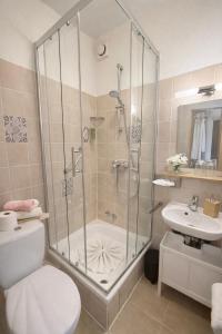 a bathroom with a shower and a toilet and a sink at Hotel Elisabeth Ilse in Braunlage +48 photos