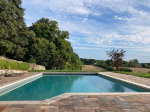 a swimming pool in the middle of a yard at Château de Chavigny in Chambourg-sur-Indre