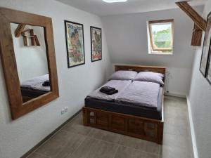 a bedroom with a bed and a mirror at NEU! Über den Dächern von Mücheln in Mücheln
